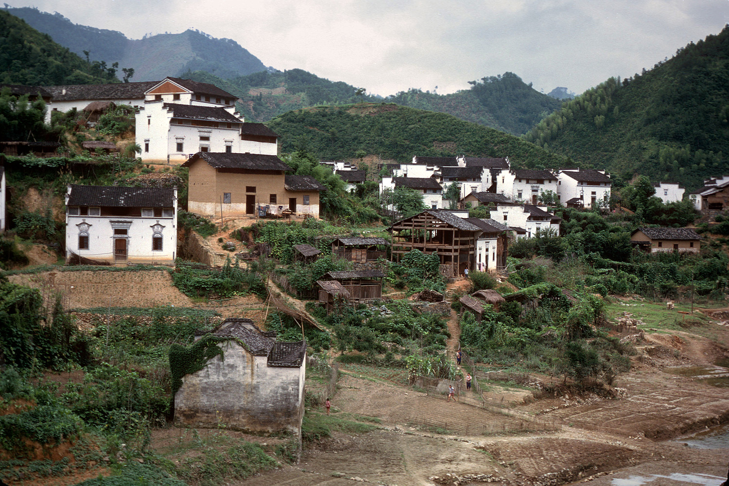 1981年的徽州老照片,那才是极美的皖南