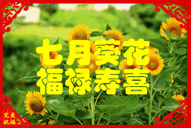 今日元宵节，祝福送上