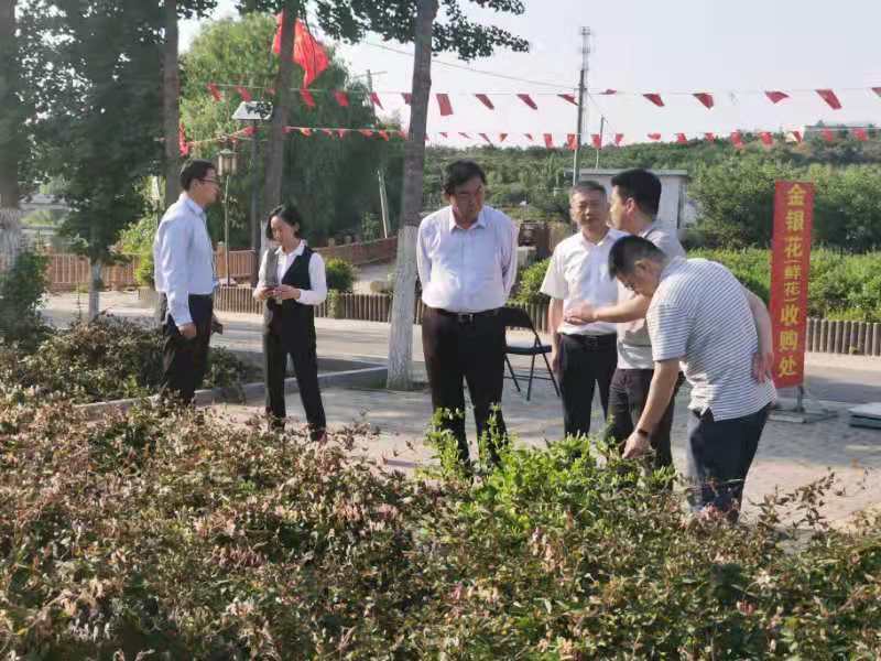 巧引金融活水 添彩美丽沂蒙