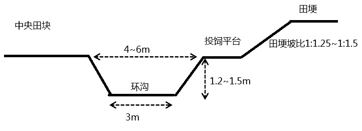 稻田小龙虾养殖的关键技术