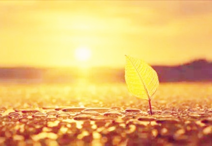 岁月是一指流砂，苍老是一段年华