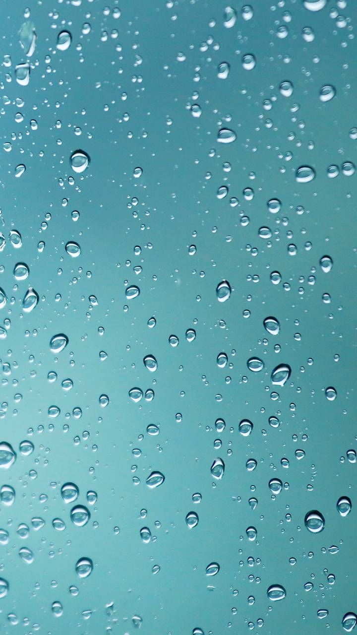 说说鸿星尔克的"营销"