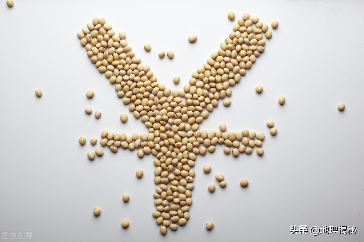 中國為什么每年都從國外進口如此多大豆！大豆真的那么重要嗎？