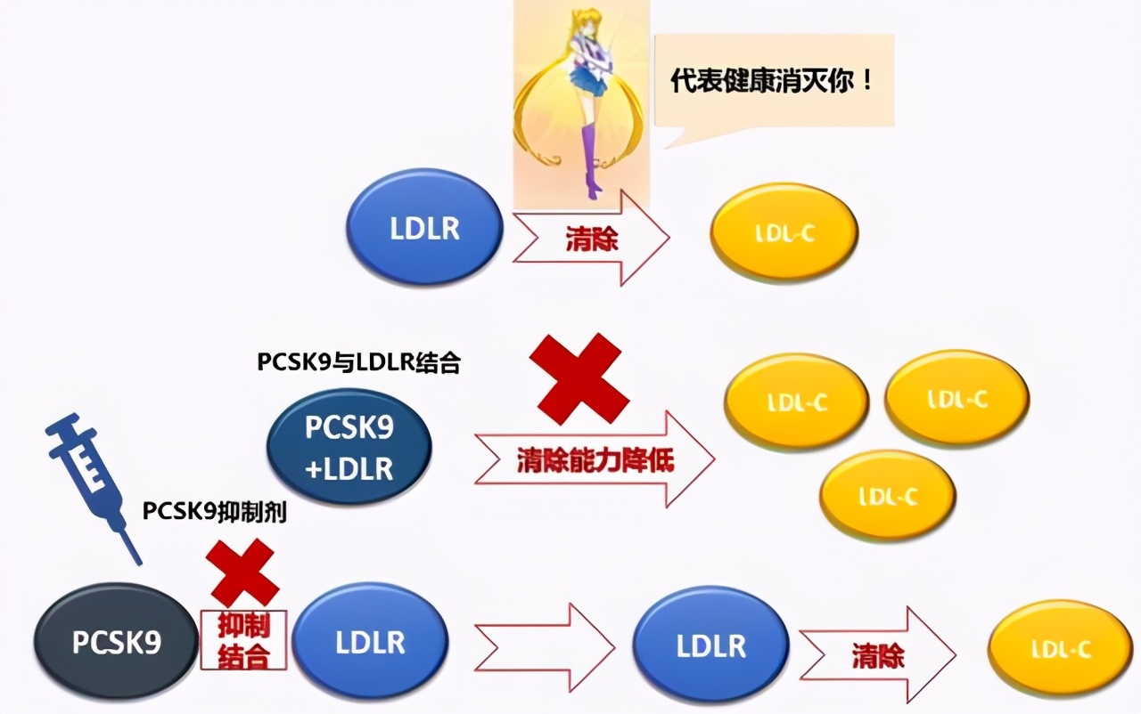 降胆固醇的针剂可不是“高血脂疫苗”，产生抵抗力就麻烦了