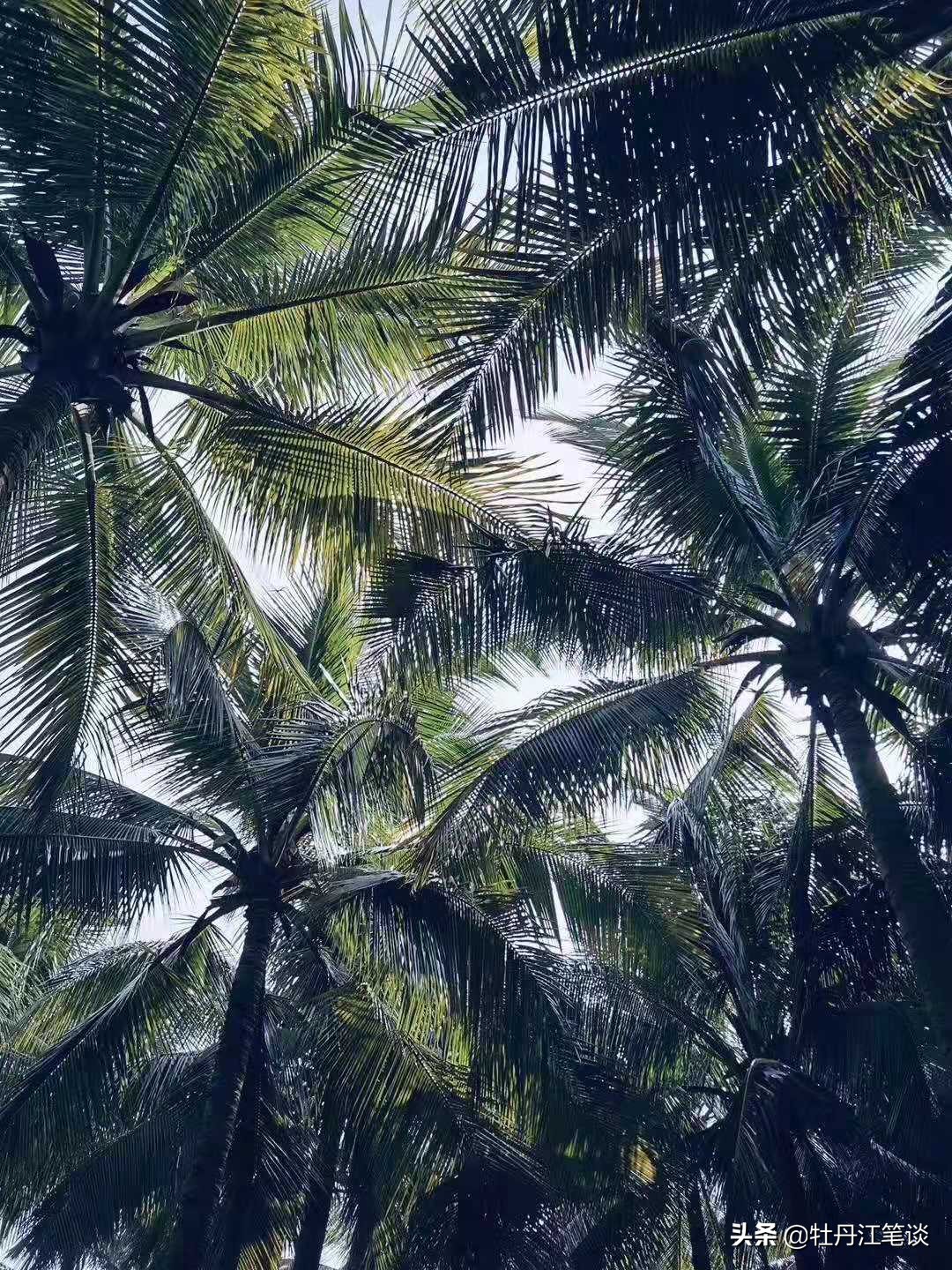 战“疫”日记之一：灾难袭来，小区人的疫情命