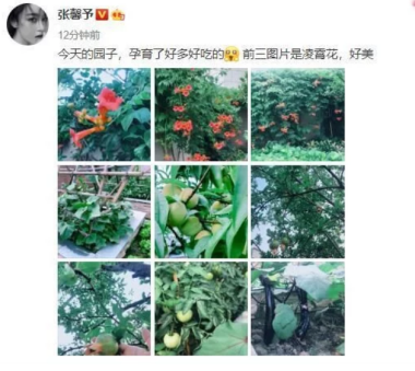 Zhang Xin grants: Cast off controversy to become army elder brother's wife, easy life of a small family is admired nowadays evil spirit other people, 