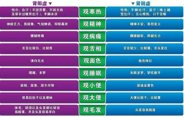 肾虚了怎么办？分清肾阳虚与肾阴虚，正确用药让肾脏恢复“生机”