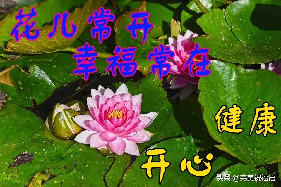 |正月十四清晨早上好问候动态表情图片 漂亮的早安问候祝福语