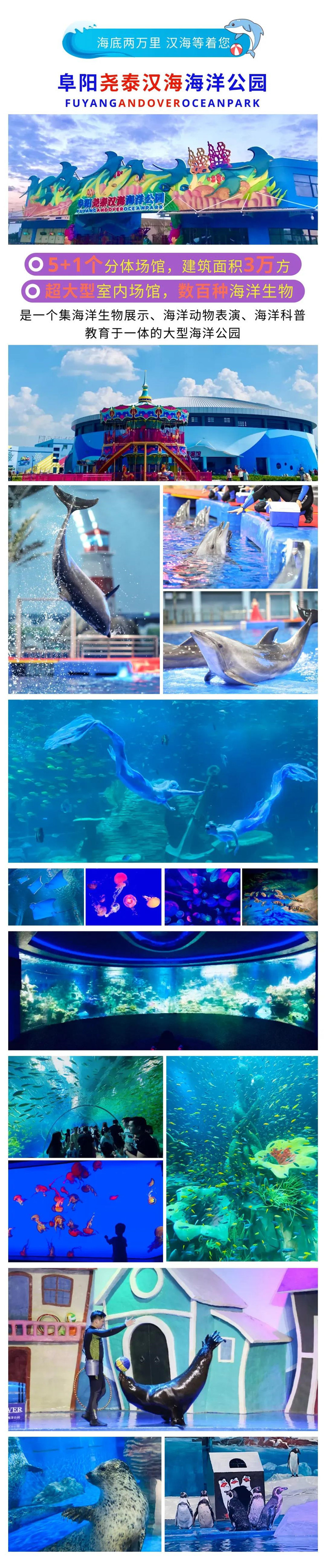 春节在阜阳玩个牛的，阜阳尧泰汉海海洋公园七天嗨不停