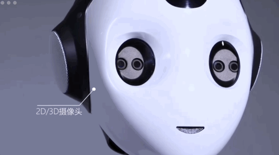 马斯克又吹牛！一年超越波士顿动力，先赢了中国小姜再说