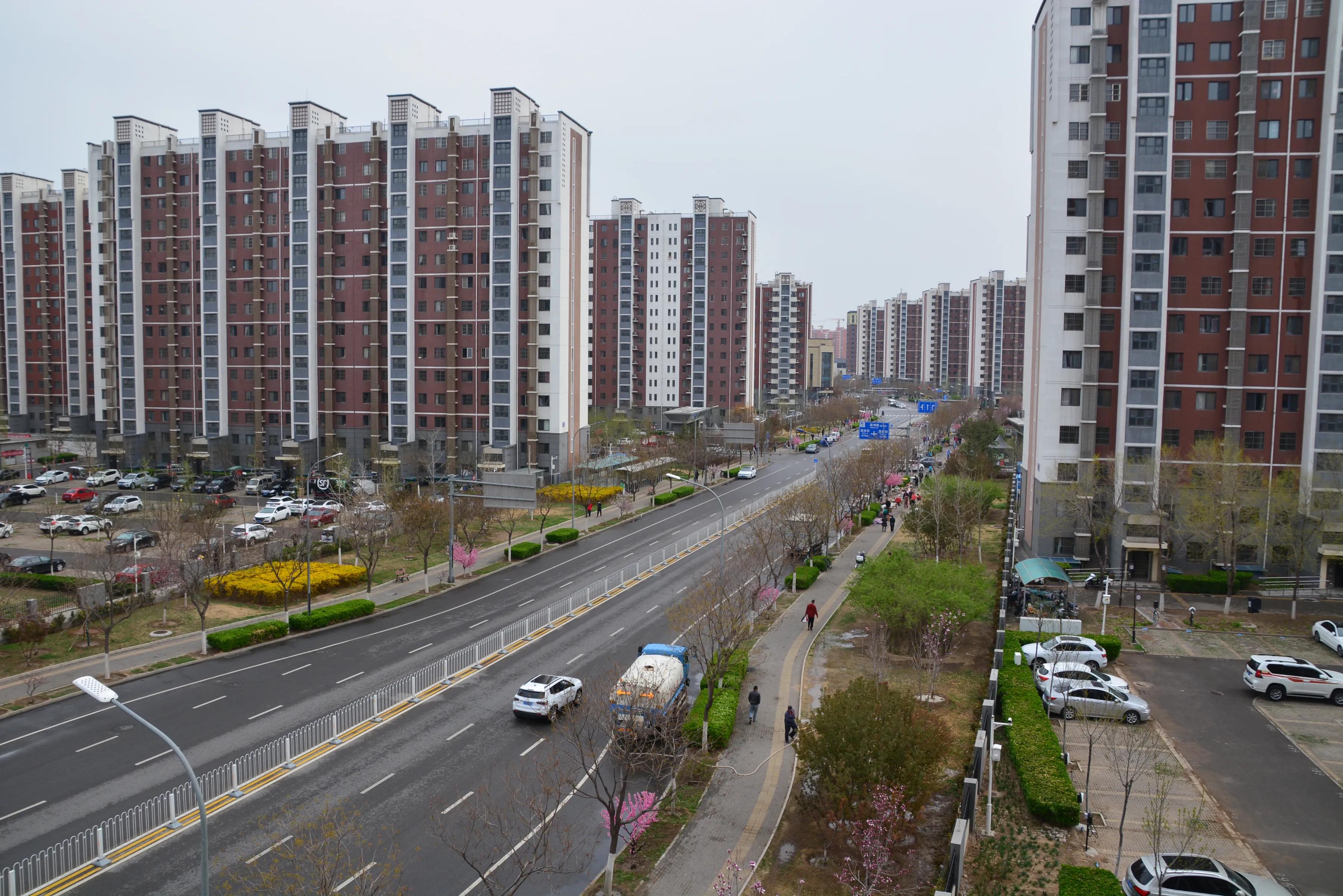 视觉世界：春天的脚步