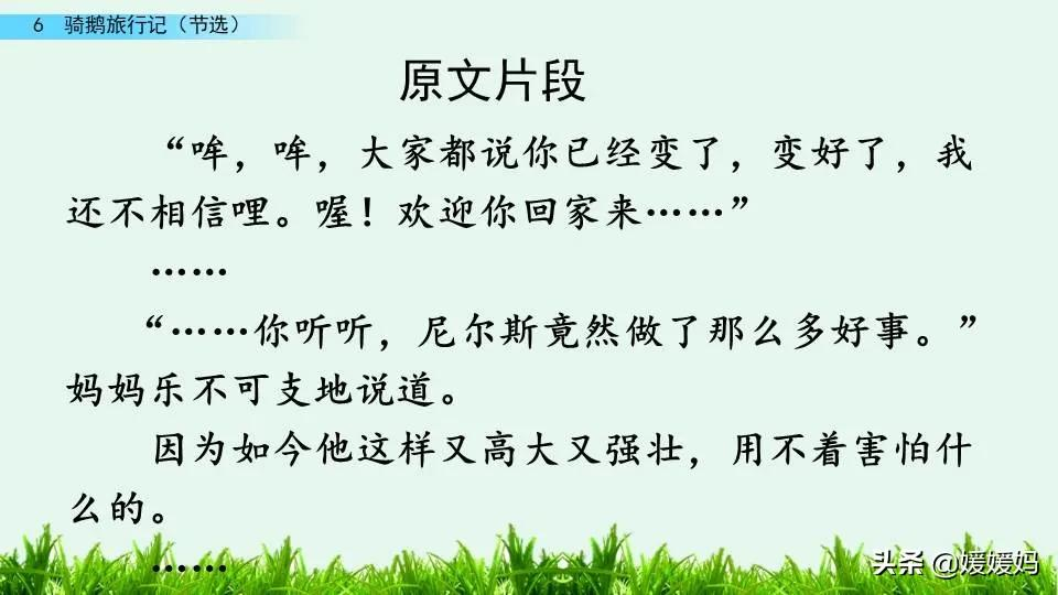 六年级下册语文第6课《骑鹅旅行记(节选)》图文详解及同步练习