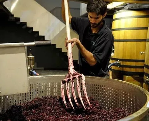 史上最全酿酒全过程详解，建议收藏（多图）