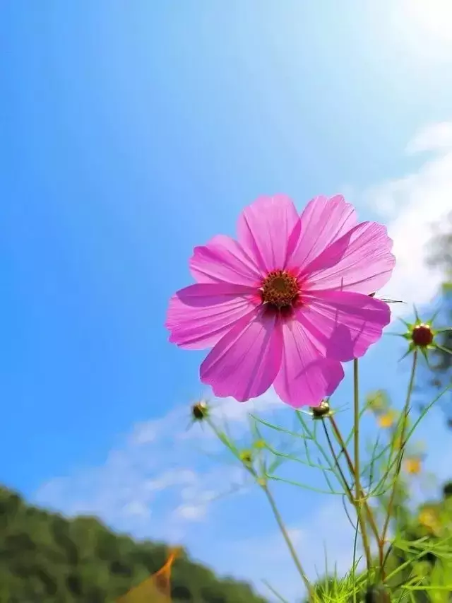 让阳光照进生命!-第2张图片-大千世界 让阳光照进生命!-第2张图片-大千世界