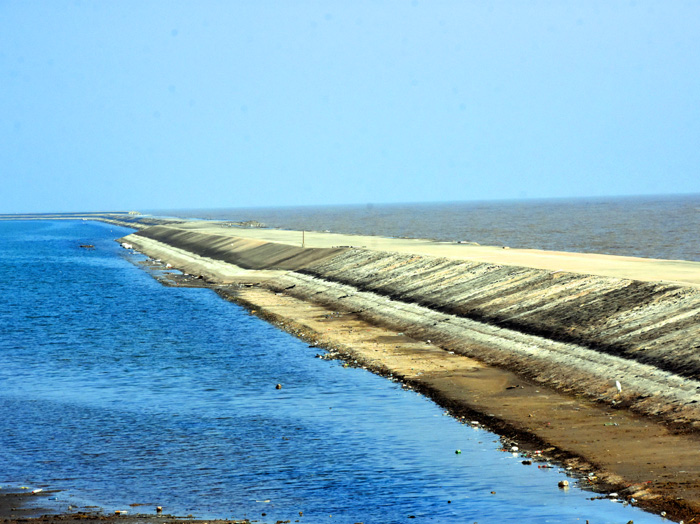 江苏旅游：探秘启东长江入海口（图）