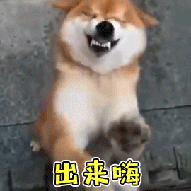 304三天漲幅超1000，佛山不銹鋼假期開啟自嗨模式？