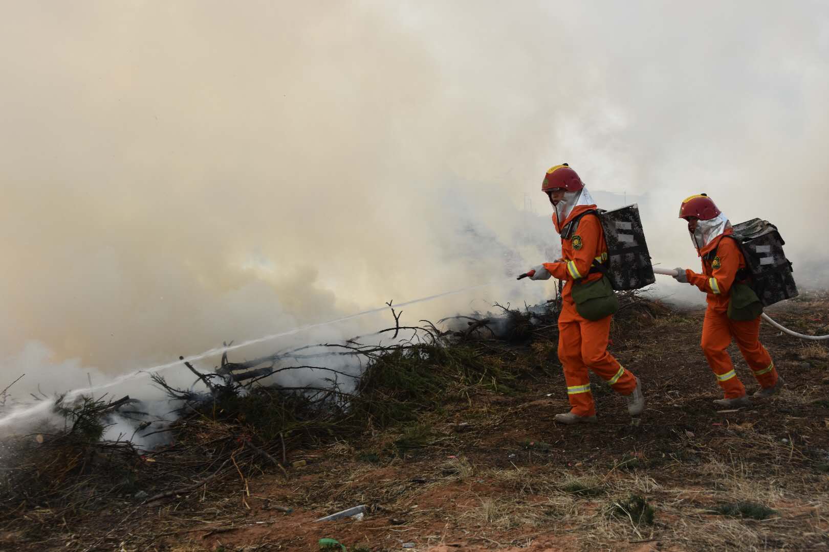 防患未“燃”|兰州市两山绿化指挥部组织开展冬季森林火灾扑救演练