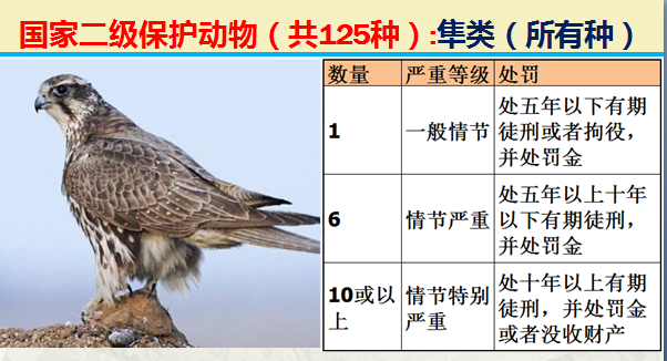 国家最新125类二级野生保护名录，图片及违法对应刑责