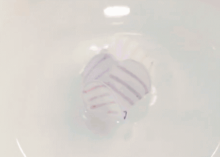 自制游戏 5个DIY游戏 亲子互动