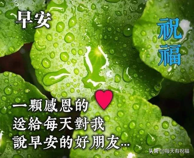 清早问候朋友的早安图片句子 唯美暖心的早安祝福短信