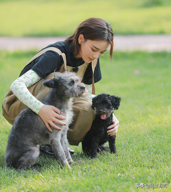 “种菜女神”张馨予：嫁给何捷才明白，双向奔