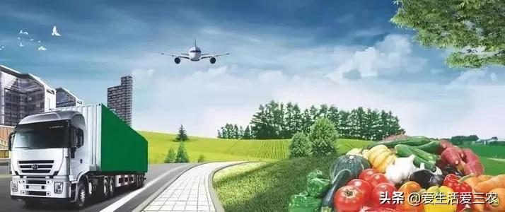 除了种养业，农村还有什么赚钱好门路？试试这些好项目吧