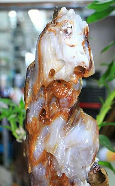 �߽�2020�й����������������С��