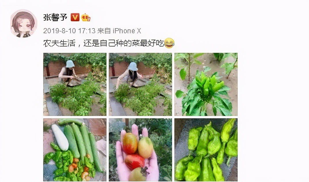 深扒！张馨予的老公何捷！确实很牛