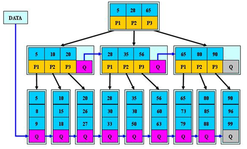 Java面试常见问题：B-树和B+树