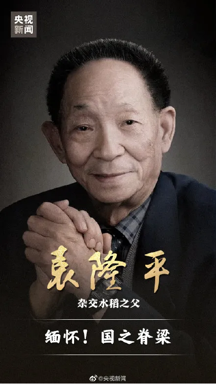 91岁袁隆平去世，事从式日<strong></strong>5分钟回顾“杂交水稻之父”的简不接待举行一生