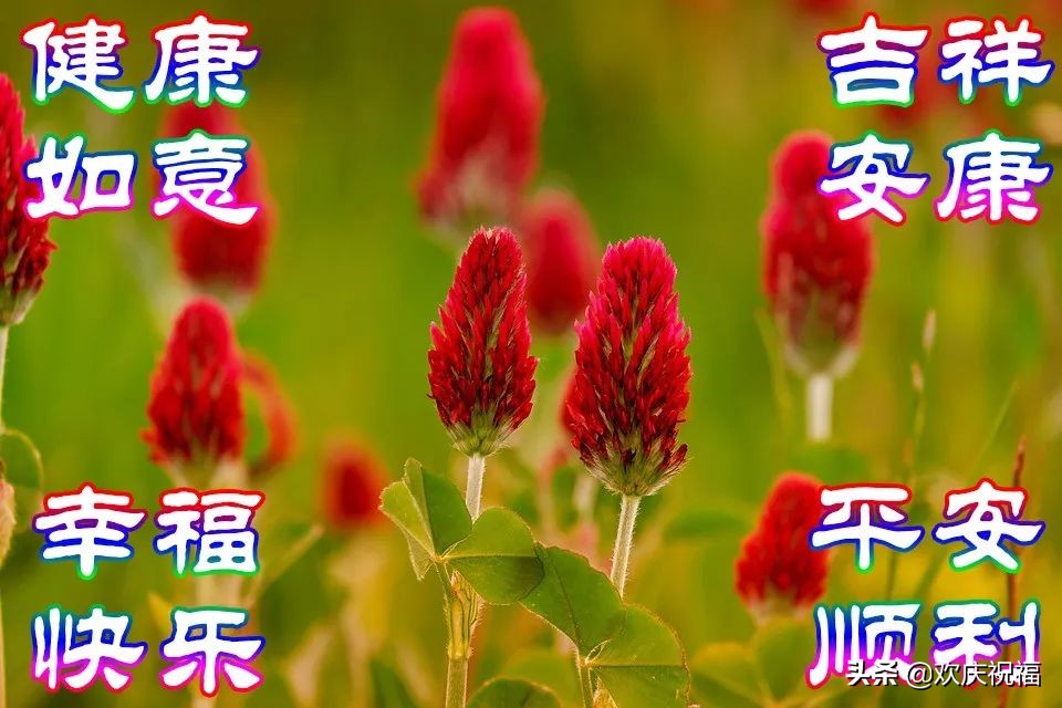 清晨早上好漂亮文字图片问候祝福语，早安温馨祝福短信图片