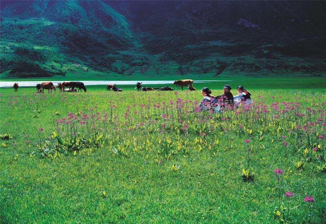Coming to Lugu Lake will make people wonder if they are willing to forget the time and forget themselves in their dreams