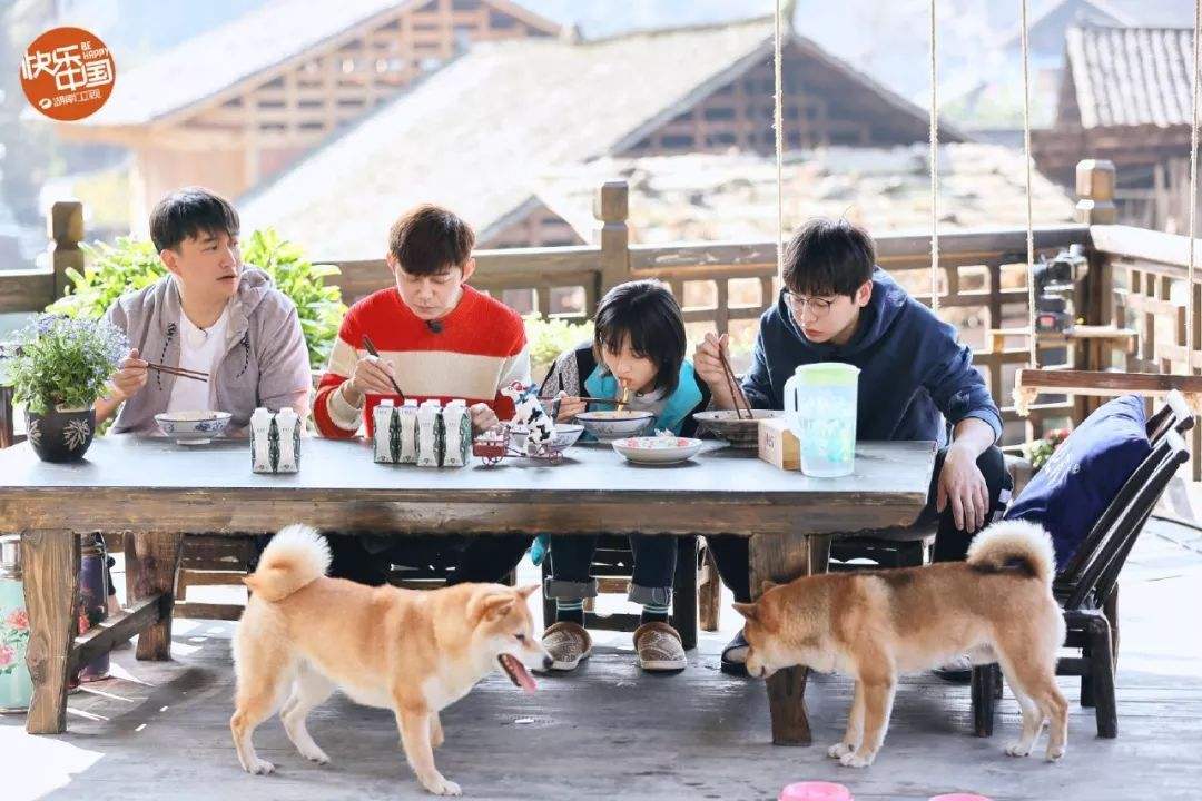 《向往的生活》不好看了？不能怪子枫和彭彭，只怪节目少了个环节