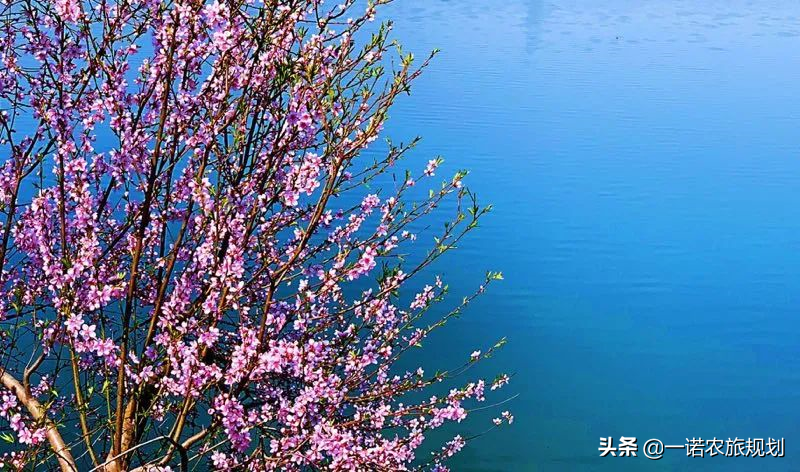 农业特色小镇，现代农业发展的新平台，它的特征及类型有哪些？
