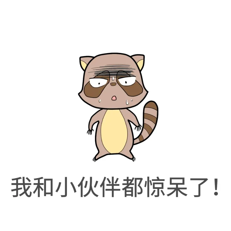 这一次终于知道,全屋铺地毯有多重要!5个功能提升家居幸福感