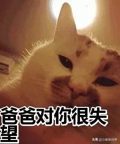 “我清华博士，儿子年年倒数第一”：不出意外