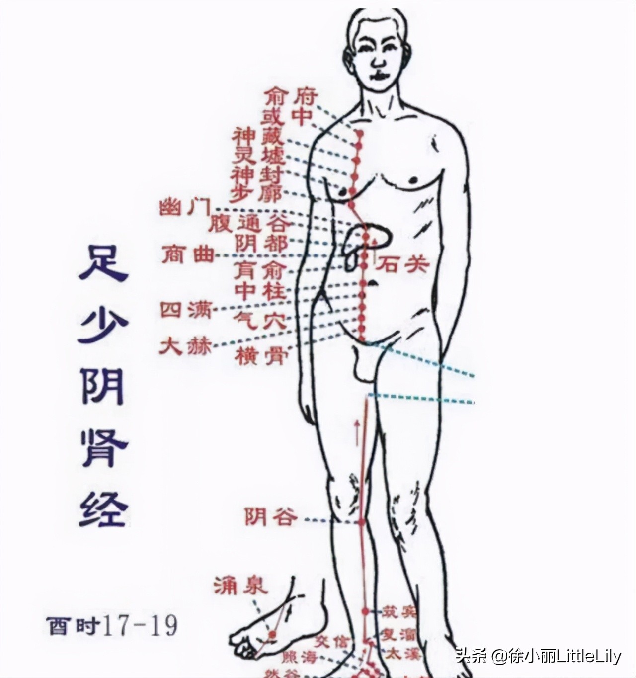 看故事快速记忆“十二经络及穴位”