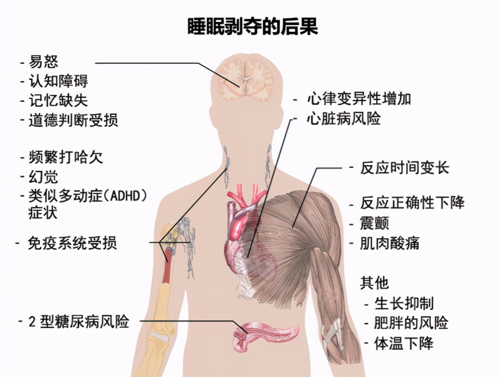 This youth, popular beautiful Qianmaijiao sleeps