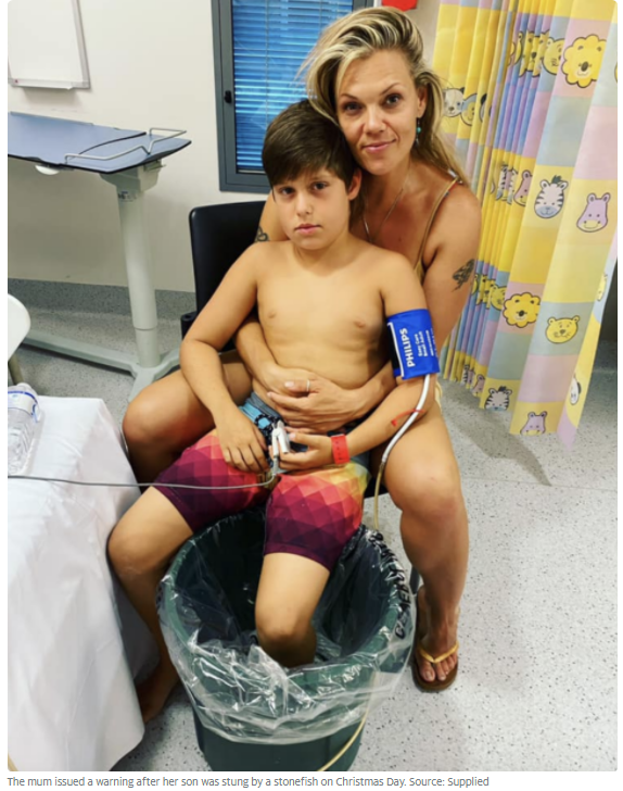 澳洲海滩出现全球最毒生物！一碰致命！已有1