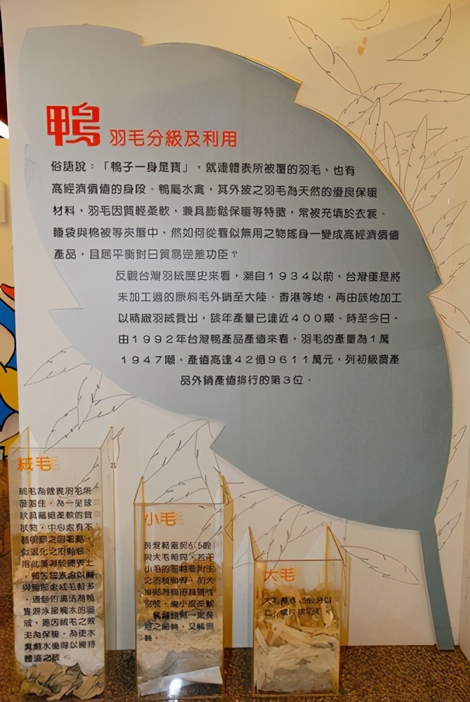 看完博士鸭，变成鸭博士