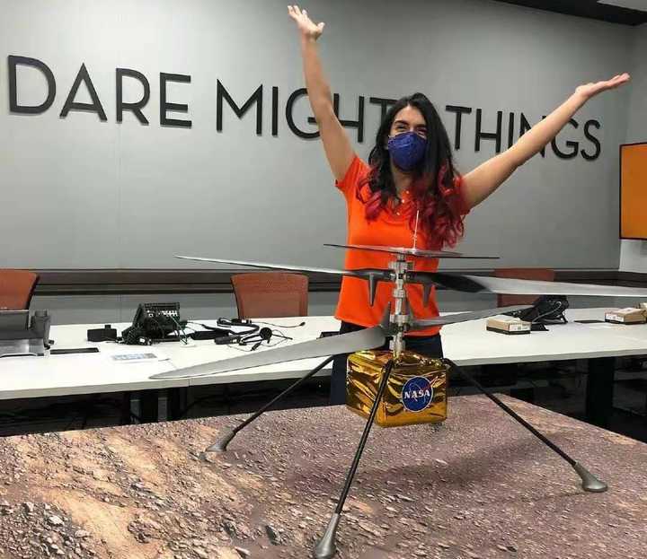 �ҹ�����ֱ�������࣬˫��������ҶƬ���΢�͹�����Ҳһͬ�Ƴ�