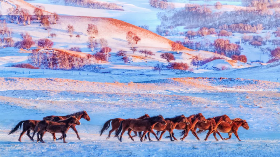 Chifeng, Inner Mongolia, northeast or north China?