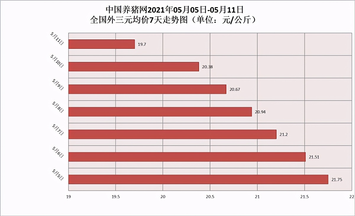 猪价“暴跌”，生猪市场肥猪泛滥，养猪人心态崩了