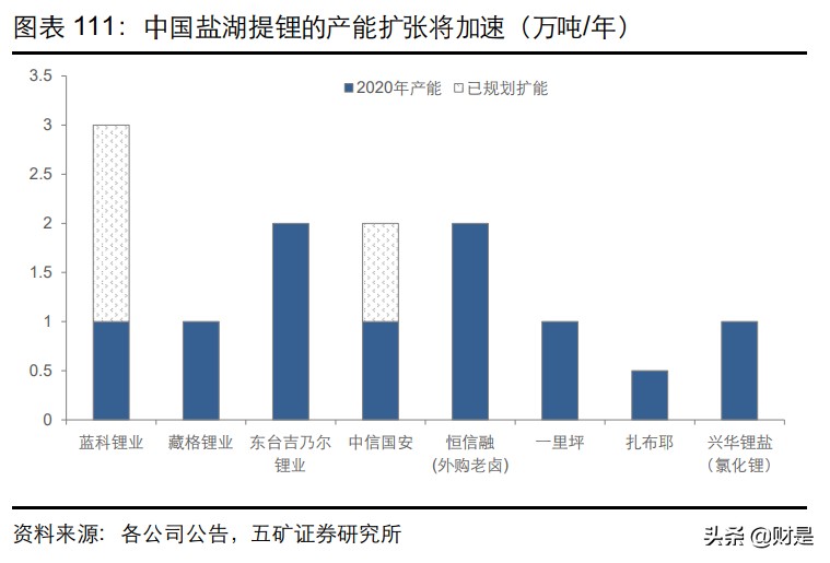 盐湖股份专题研究：深耕青海察尔汗，盐湖钾锂资源的战略性龙头