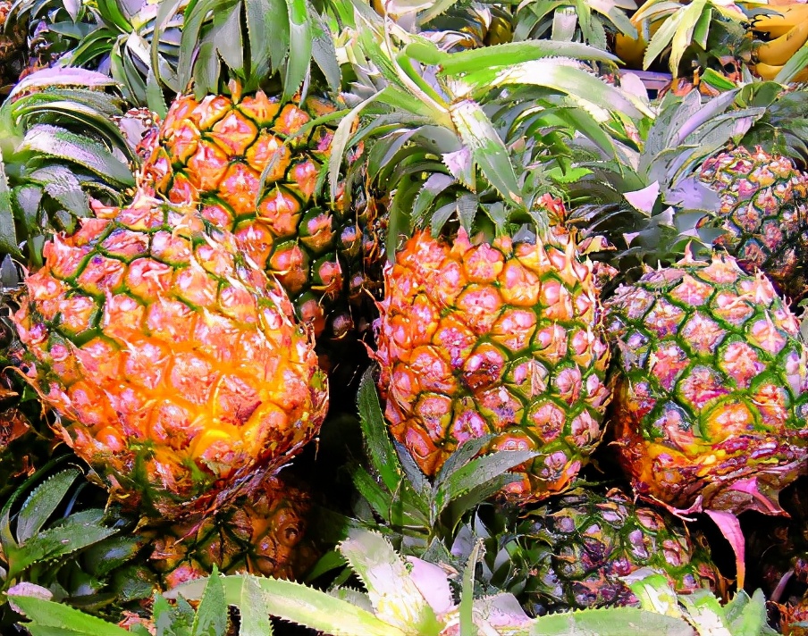 图片[1]-浸泡菠萝做法步骤图 好吃-起舞食谱网
