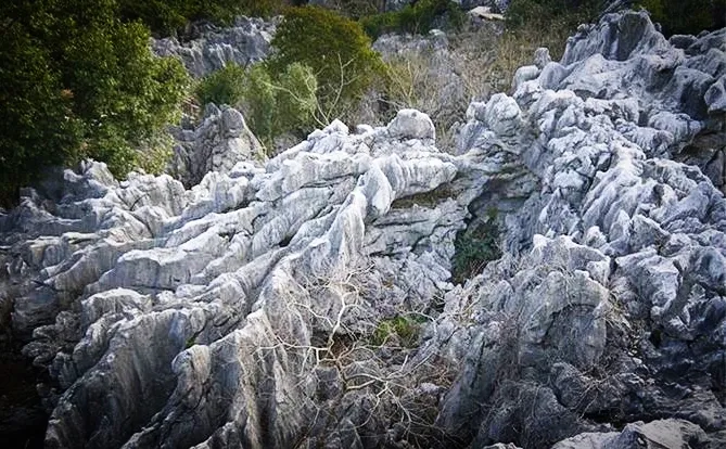 浙西的秘境山水打包送给你,这条自驾路线夏天去正好