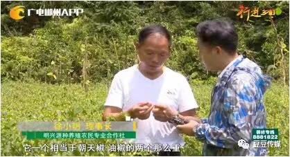 從貧窮到致富的我我的家庭