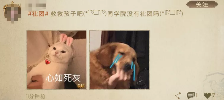 《哈利波特:魔法觉醒》:江湖人称「小校内网」