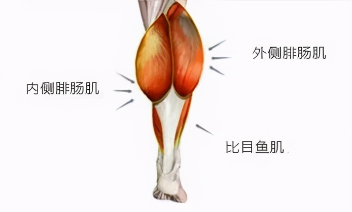 倪妮初中毕业照曝光，眼睛小发际线堪忧，普通到认不出