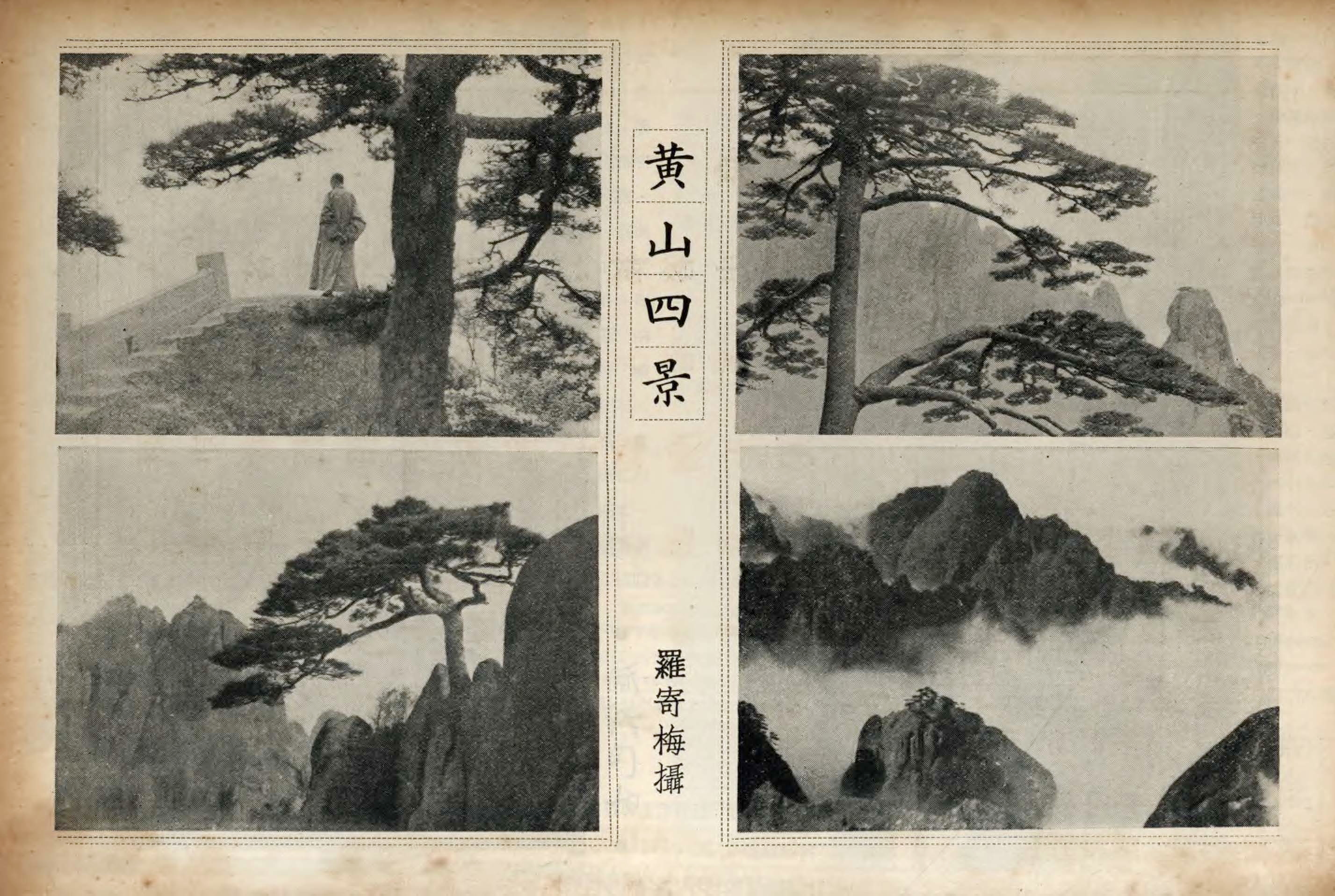 百年老照片破解黄山迎客松真假之谜
